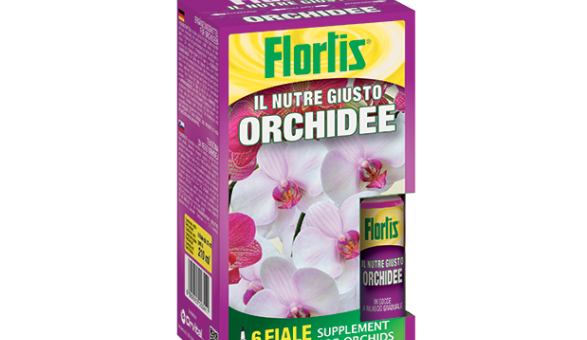 Ampule za orhideje