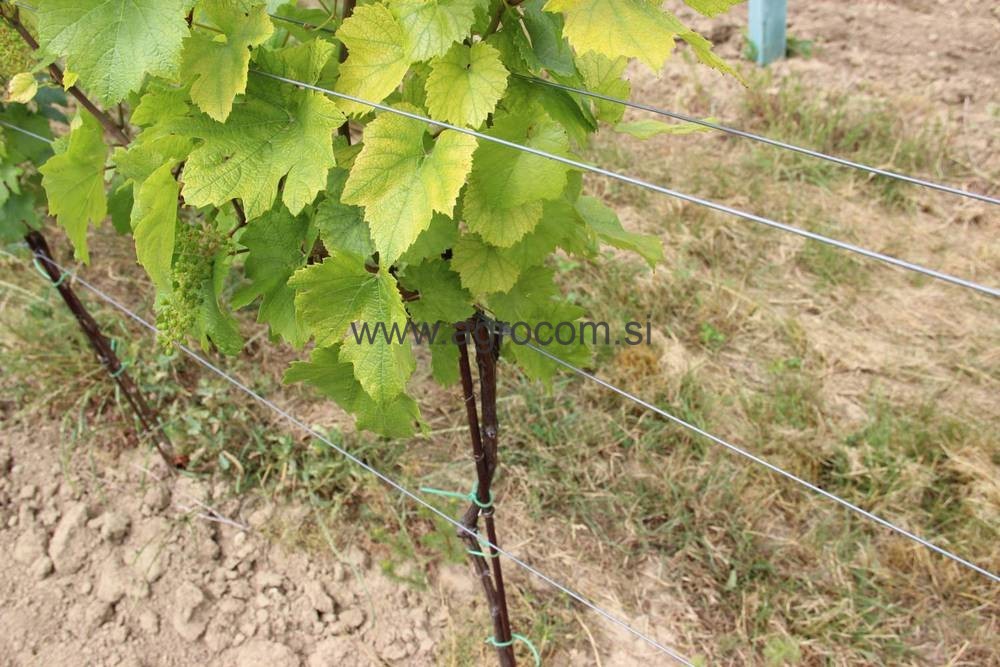 Žica vinogradniška fi 1,8 mm 
